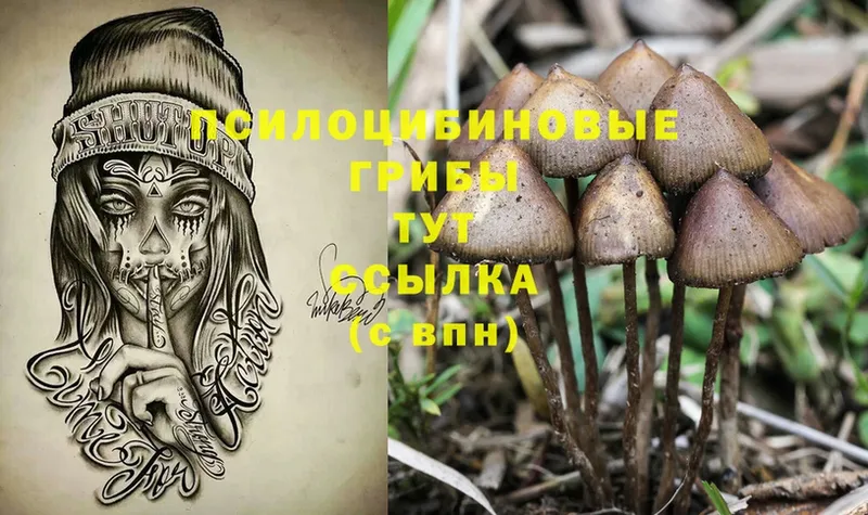 Галлюциногенные грибы Magic Shrooms  хочу наркоту  Воскресенск 